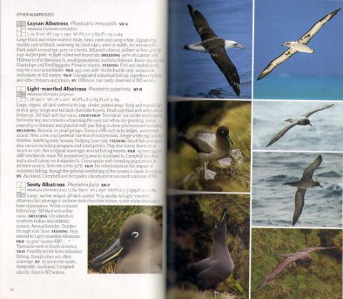 Collins Travellers Guide to Birds of New Zealand - Image 2