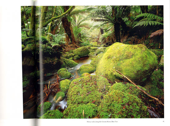 Endangered: Tasmania's wild places. - Image 2