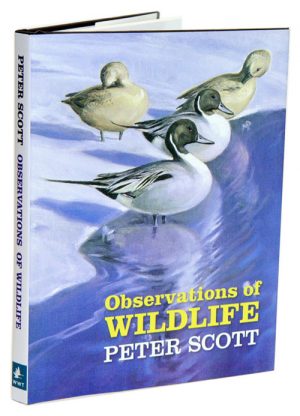 Observations of wildlife.