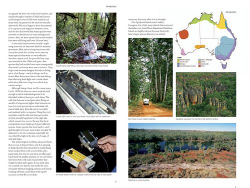 A Natural History of Australian Bats: Working the Night Shift - Image 3
