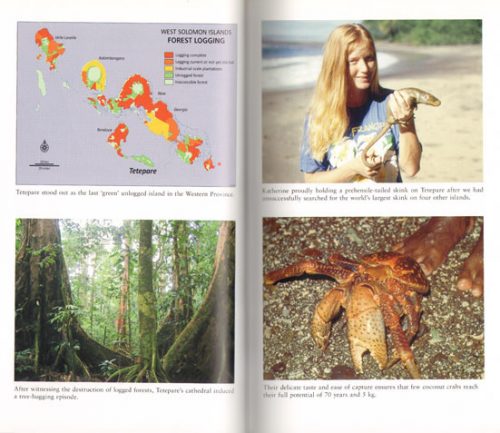 The Last Wild Island: Saving Tetepare - Image 2