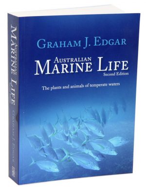 Australian Marine Life: The Plants and Animals of Temperate Waters