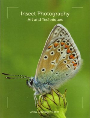 Insect Photography: Art and Techniques
