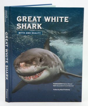 Great White Shark: Myth and Reality