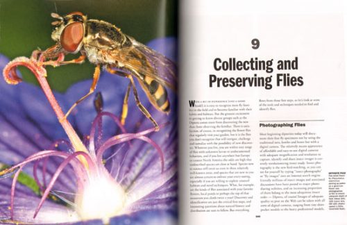 Flies: The Natural History and Diversity of Diptera - Image 3