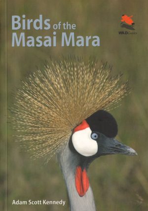 Birds of the Masai Mara