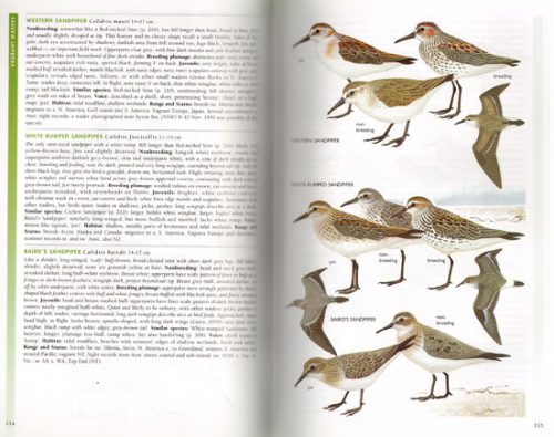 The Field Guide to the Birds of Australia (Ninth Edition) - Image 3