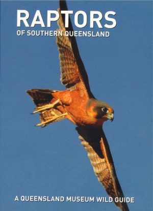Raptors of Southern Queensland