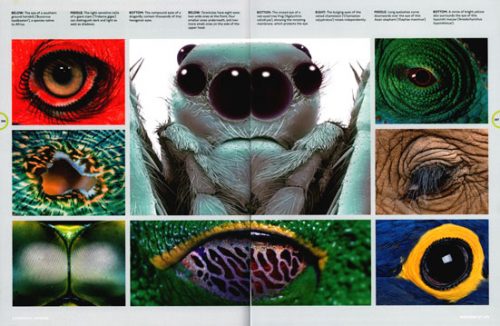 Wonders of Life - Image 2
