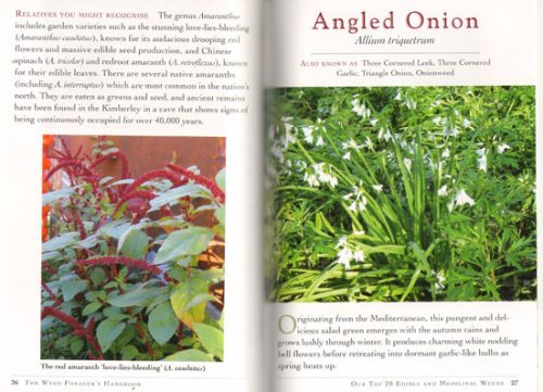 The Weed Forager's Handbook: A Guide to Edible and Medicinal Weeds in Australia - Image 2