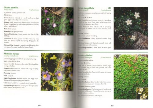 Tasmania's Natural Flora (Third Revised Edition) - Image 2