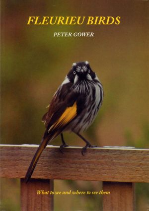 Fleurieu Birds: What to See and Where to See Them
