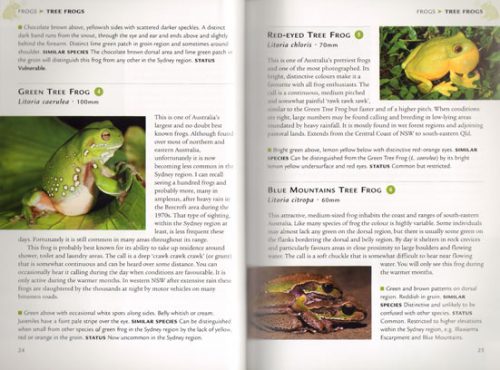 Frogs and Reptiles of the Sydney Region - Image 2