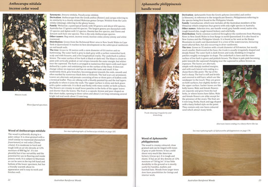 Australian Rainforest Woods: Characteristics, Uses and Identification - Image 2