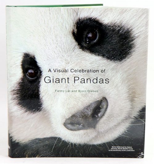A Visual Celebration of Giant Pandas
