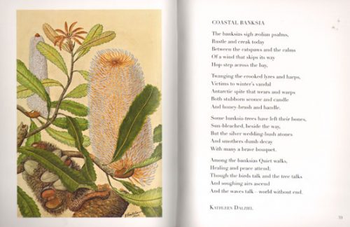 Little Book of Banksias - Image 2