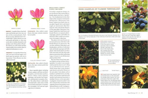 The Complete Guide to Saving Seeds: 322 Vegetables, Herbs, Flowers, Fruits, Trees and Shrubs - Image 2