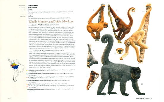 mammal anatomy an illustrated guide download