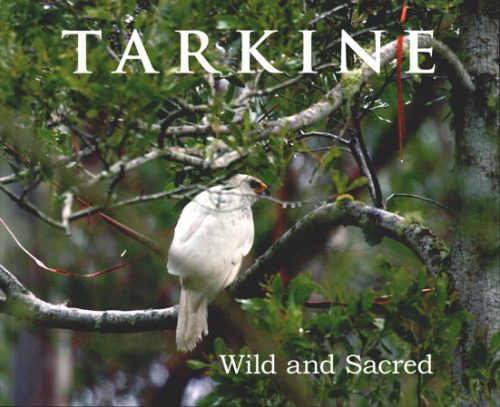 Tarkine: Wild and Sacred