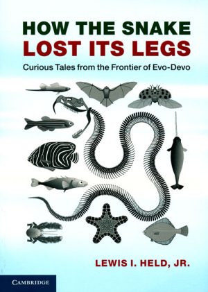 How the Snake Lost its Legs: Curious Tales from the Frontier of Evo-devo