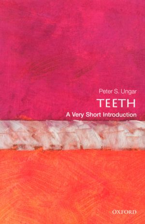 Teeth: A Very Short Introduction