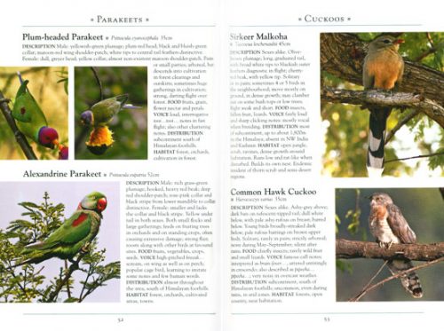 A Naturalist's Guide to the Birds of India: Pakistan, Nepal, Bhutan and Sri Lanka - Image 2