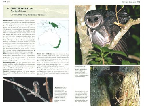 Owls of the World: A Photographic Guide (Second Edition) (Helm Photographic Guide) - Image 3