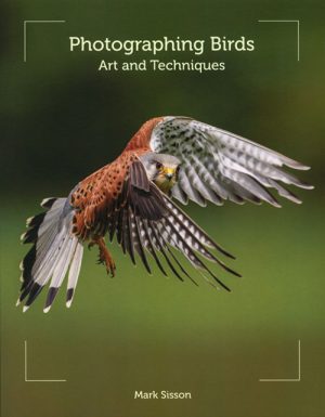 Photographing Birds: Art and Techniques