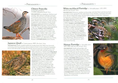 A Naturalist's Guide to the Birds of China: Southeast China, Including Shanghai - Image 2