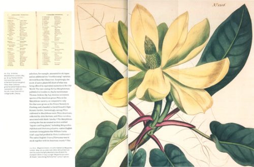 Flora Illustrata: Great Works from the LuEsther T. Mertz Library of the New York Botanical Garden - Image 2