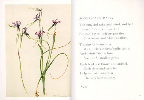 Little Book of Australian Orchids - Image 2