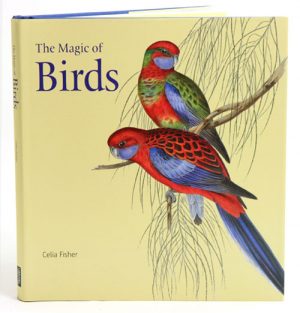 The Magic of Birds