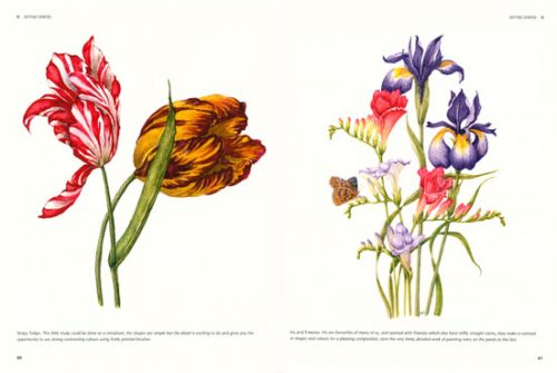 Botanical Painting with Watercolour - Image 2