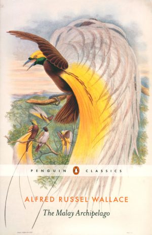 The Malay Archipelago