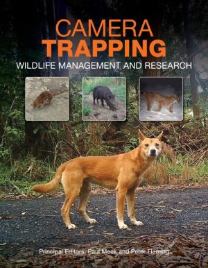 Camera Trapping: Wildlife Management and Research