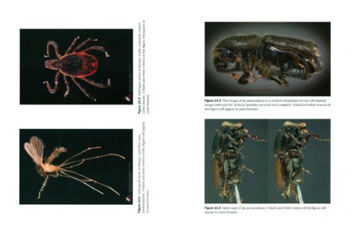 Descriptive Taxonomy: The Foundation of Biodiversity Research - Image 2