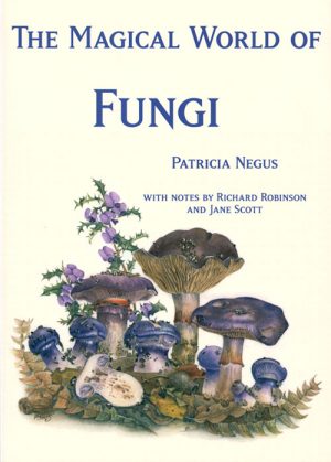 The Magical World of Fungi