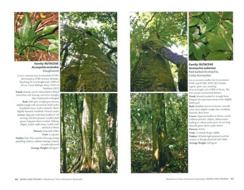Barks and Trunks: Rainforest Trees of Eastern Australia, Volume Two - Image 2