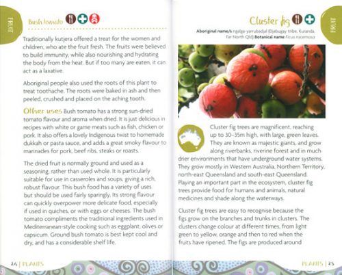 Bush Tukka Guide: Identify Australian Plants and Animals, and Learn How to Cook with Them - Image 2