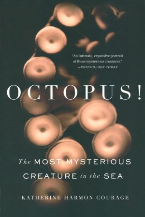 Octopus! The Most Mysterious Creature in the Sea