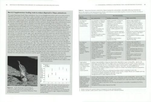 Advances in Reintroduction Biology of Australian and New Zealand Fauna - Image 2