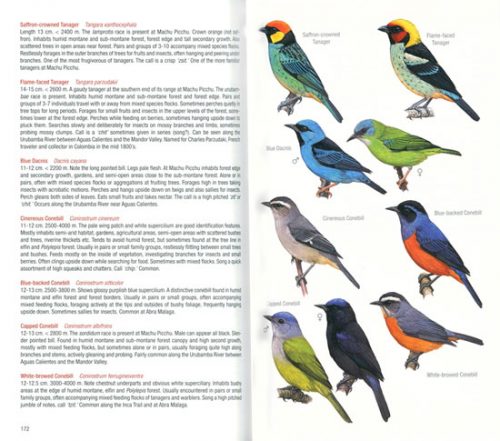 Field Guide to the Birds of Machu Picchu and the Cusco Region, Peru:  Includes a Bird Finding Guide to the Area - Image 2