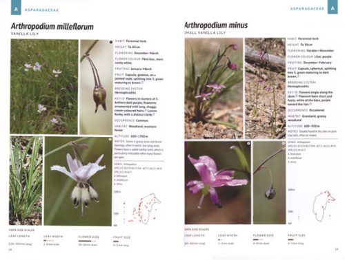 Photographic Guide to Native Plants of the Australian Capital Territory - Image 2