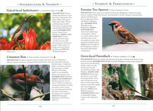 A Naturalist's Guide to the Birds of the Philippines (Second Edition) - Image 2