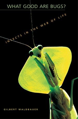What Good are Bugs? Insects in the Web of Life