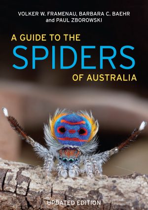 A Guide to the Spiders of Australia (Updated Edition)