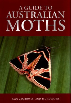A Guide to Australian Moths