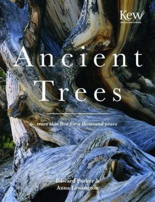 Ancient Trees: Trees that Live for a Thousand Years