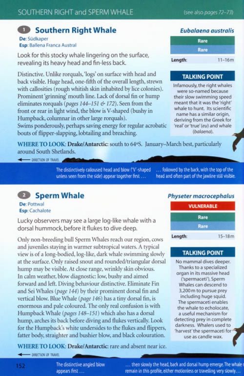 Antarctic Wildlife: A Visitor's Guide to the Wildlife of the Antarctic Peninsula, Drake Passage and Beagle Channel - Image 3
