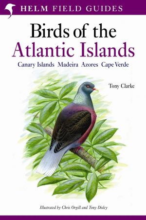 Birds of the Atlantic Islands: Canary Islands, Madeira, Azores, Cape Verde (Helm Field Guide)